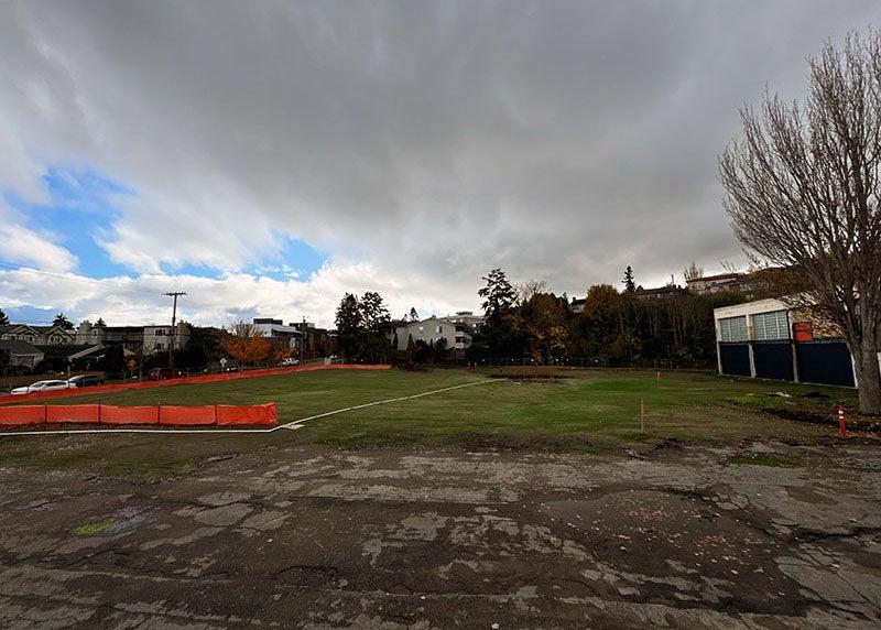 an open area has grass with an orange temporary fabric fence